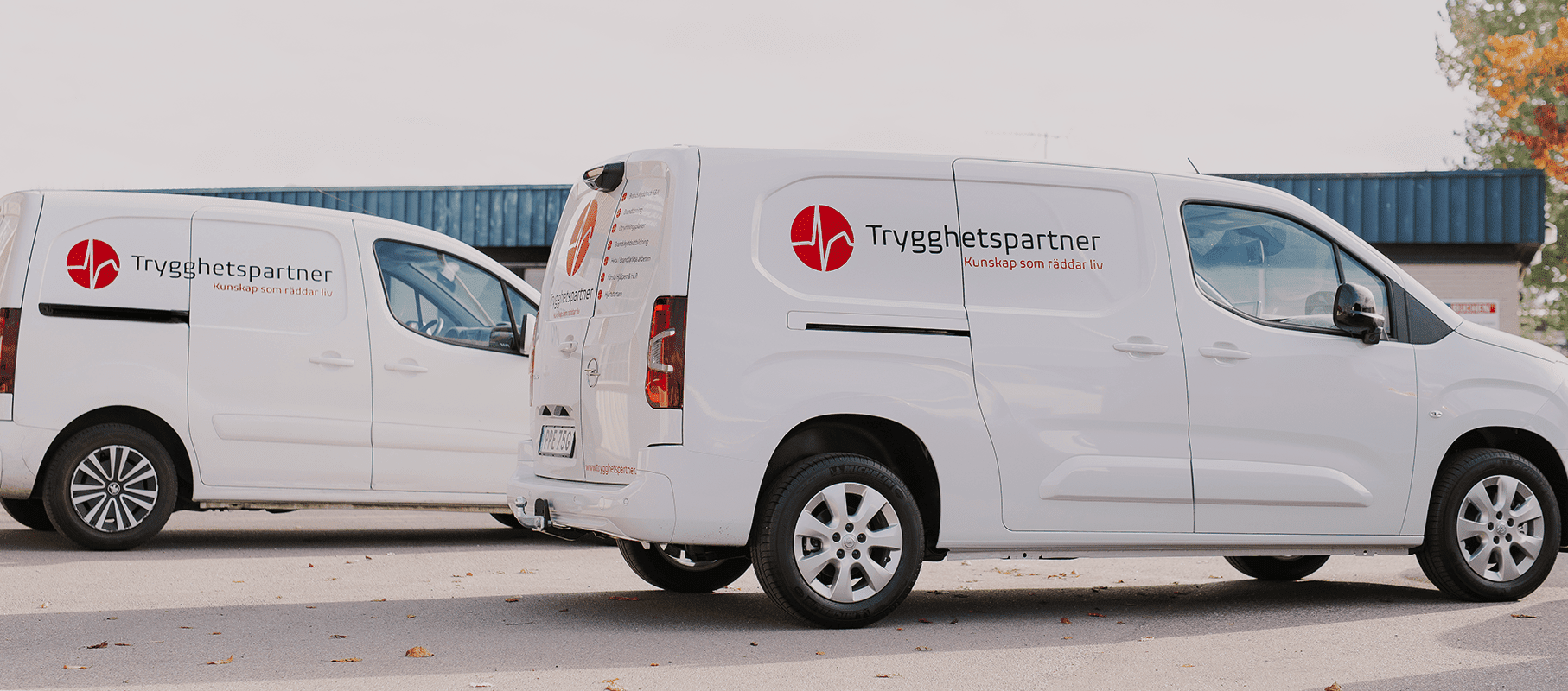 trygghetspartner - bilar